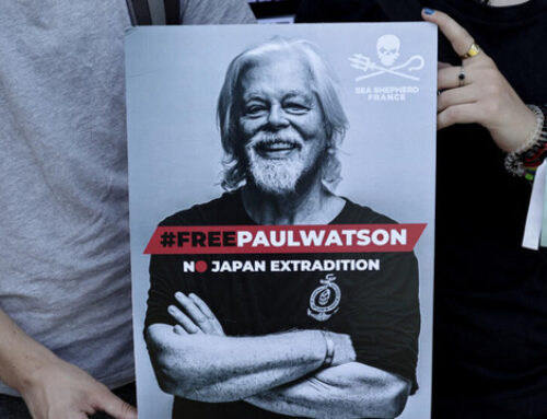 #freepaulwatson